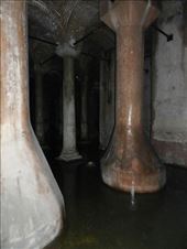 by nn-onthemove, Views[121]