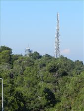 by nn-onthemove, Views[198]