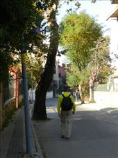 by nn-onthemove, Views[150]