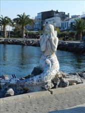 by nn-onthemove, Views[159]