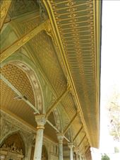 by nn-onthemove, Views[225]