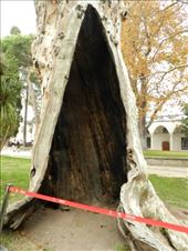 by nn-onthemove, Views[227]