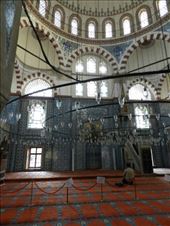 by nn-onthemove, Views[190]