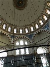 by nn-onthemove, Views[136]