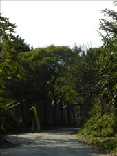 by nn-onthemove, Views[121]