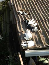 by nn-onthemove, Views[127]