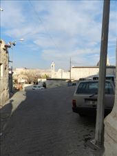 by nn-onthemove, Views[225]