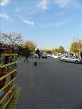 by nn-onthemove, Views[176]