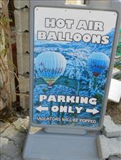 by nn-onthemove, Views[237]