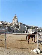 by nn-onthemove, Views[208]