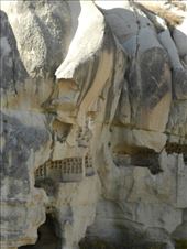 by nn-onthemove, Views[204]