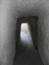 by nn-onthemove, Views[119]