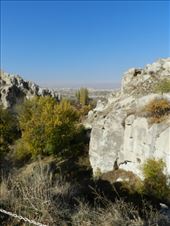 by nn-onthemove, Views[100]