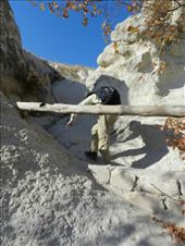 by nn-onthemove, Views[134]