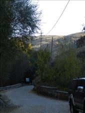 by nn-onthemove, Views[148]