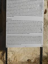 by nn-onthemove, Views[156]