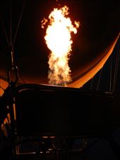 by nn-onthemove, Views[229]