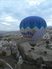 by nn-onthemove, Views[184]