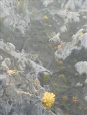 by nn-onthemove, Views[121]