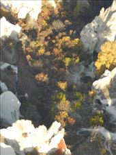 by nn-onthemove, Views[102]