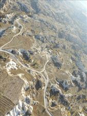 by nn-onthemove, Views[117]