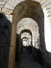 by nn-onthemove, Views[181]