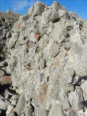 by nn-onthemove, Views[133]