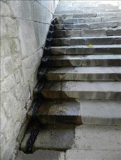 by nn-onthemove, Views[98]