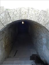 by nn-onthemove, Views[230]