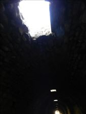 by nn-onthemove, Views[230]