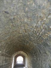 by nn-onthemove, Views[347]