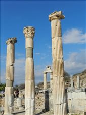 by nn-onthemove, Views[187]