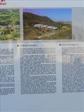 by nn-onthemove, Views[116]