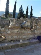 by nn-onthemove, Views[113]