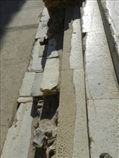 by nn-onthemove, Views[155]