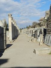 by nn-onthemove, Views[118]