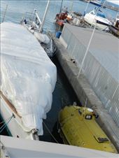 by nn-onthemove, Views[243]