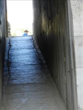 by nn-onthemove, Views[140]