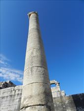 by nn-onthemove, Views[205]