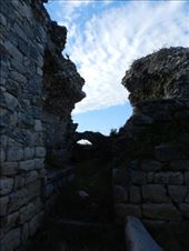 by nn-onthemove, Views[116]