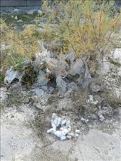 by nn-onthemove, Views[112]