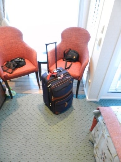 Delayed bag, showed up 15 minutes before departing Budapest. Hadn't seen it in 3 days!