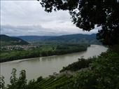by nn-onthemove, Views[175]