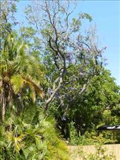 by nn-onthemove, Views[213]