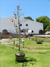 by nn-onthemove, Views[397]