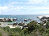 by nn-onthemove, Views[197]