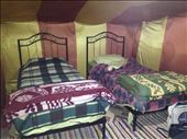 Inside of Desert Camp Tent: by nncysf, Views[123]