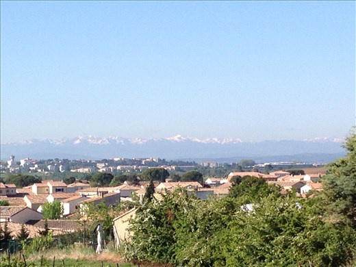 Pyrenees from Jesse and Georgette's Garden 