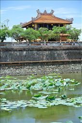 by nnninecountries, Views[191]