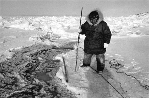 Abraham Arnaqaq sets a net along a crack in the ice to catch seal. He anchors the net by tying it to a block of ice over which he pours sea water to freeze it solidly in place. A brilliant yet simple ancient technique. (temp: -40degC)